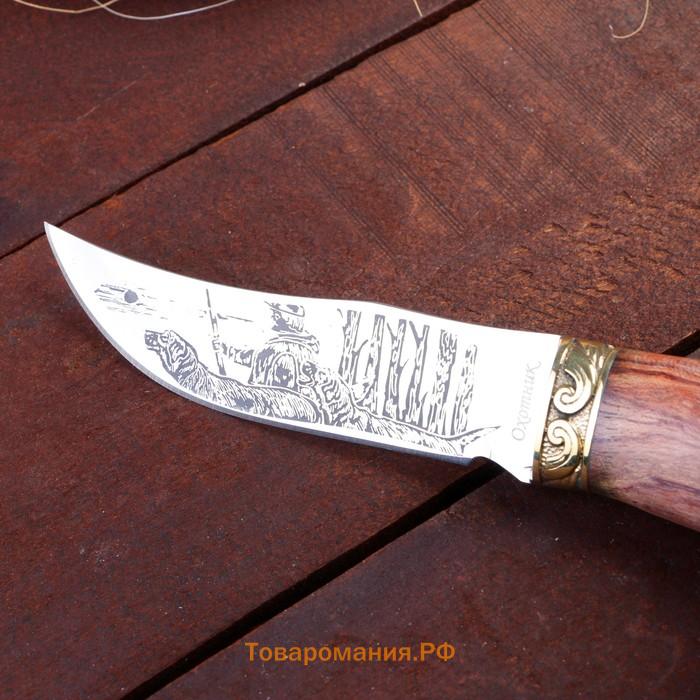 Нож охотничий «Таёжник», 23 см, клинок 112 мм/2.8 мм, дерево, с гравировкой