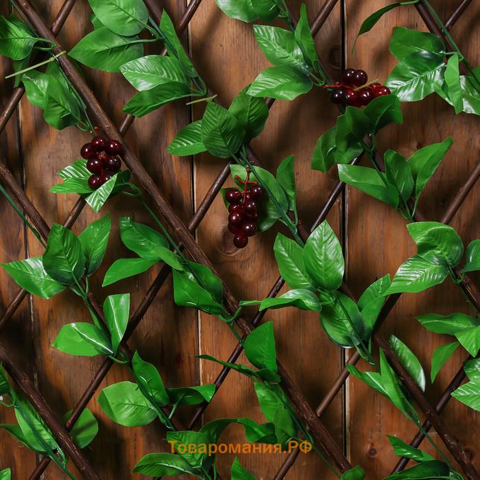 Ограждение декоративное, 200×75 см, «Виноград», Greengo