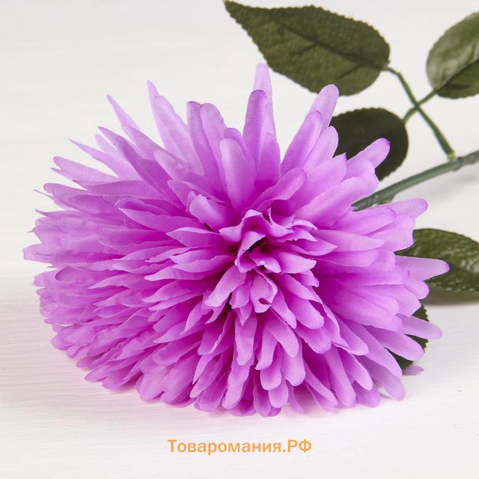 Цветы искусственные «Астра сфера», 12×60 см, розовые