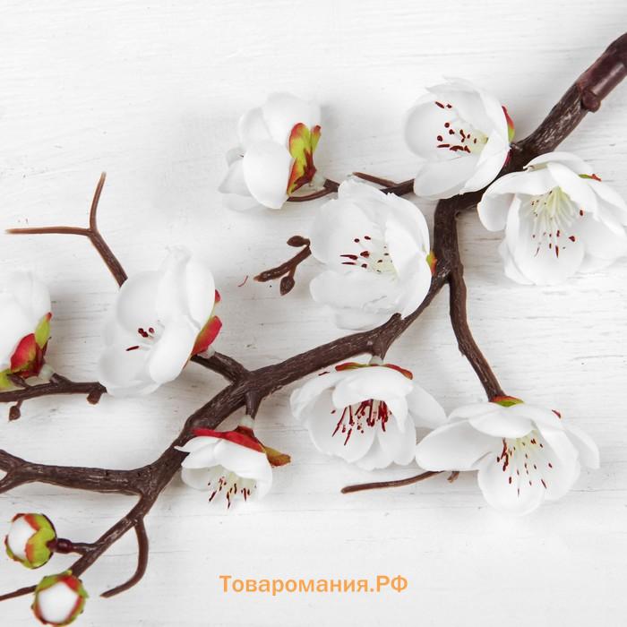 Цветы искусственные «Ветка сакуры», 3×60 см, белые