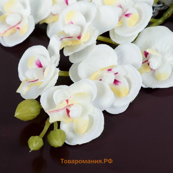 Цветы искусственные «Орхидея королевская», 3.5×28 см, белые