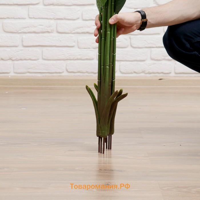 Дерево искусственное «Длинный лист», h=150 см, листья 36×22, 44×24, 53×26 см
