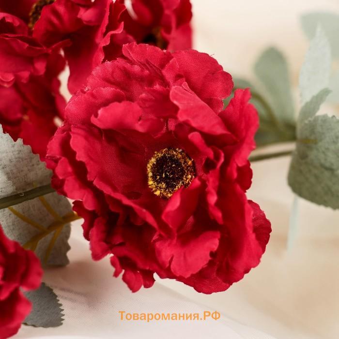 Цветы искусственные «Космея махровая», 8×58 см, бордовые