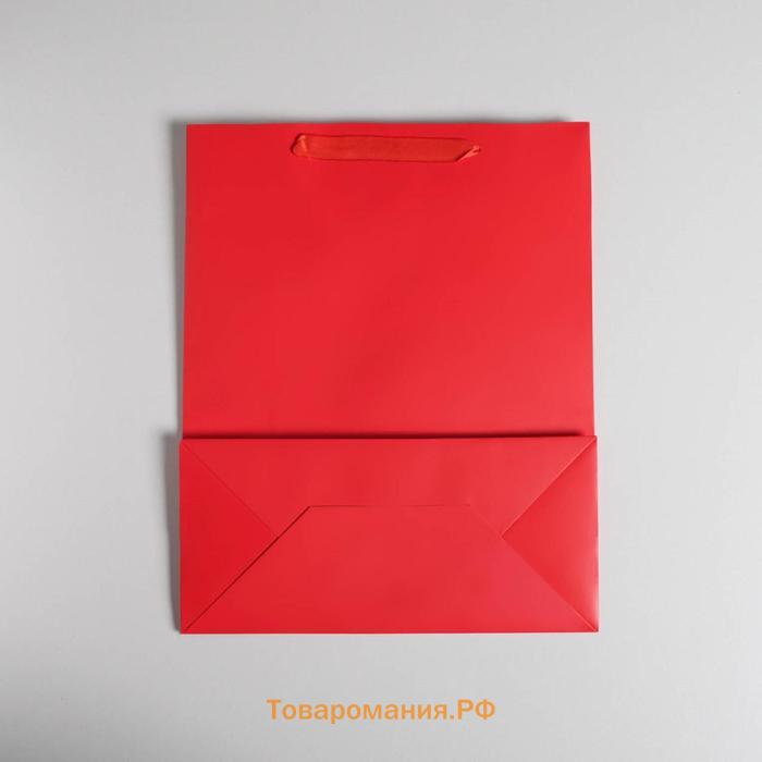 Пакет подарочный, упаковка, «Алый», M 25,5 х 30 х 9 см