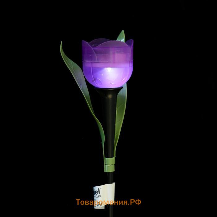 Садовый светильник Uniel на солнечной батарее «Лиловый тюльпан», 5 × 30.5 × 5 см, свечение белое
