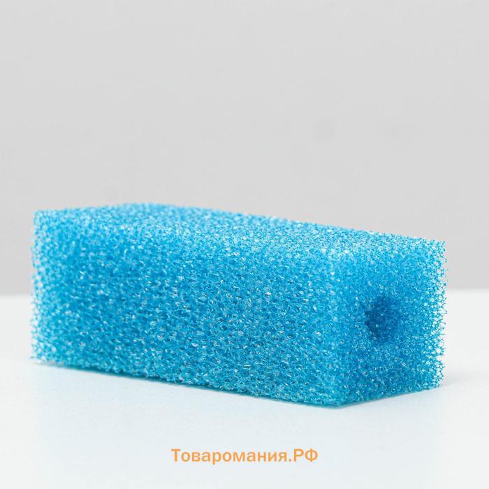 Губка прямоугольная для фильтра № 1, крупнопористая, 4 х 4,5 х 11 см, синяя