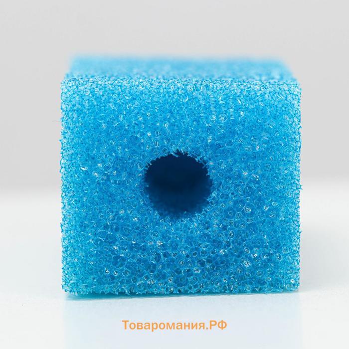 Губка прямоугольная для фильтра № 1, крупнопористая, 4 х 4,5 х 11 см, синяя