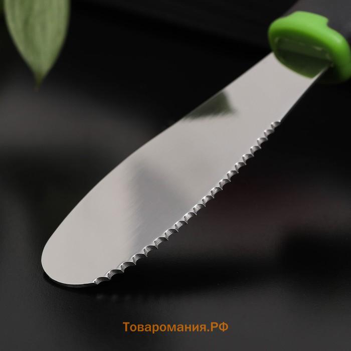 Нож для масла  Lime, 20×3 см, нержавеющая сталь, чёрно-зелёный