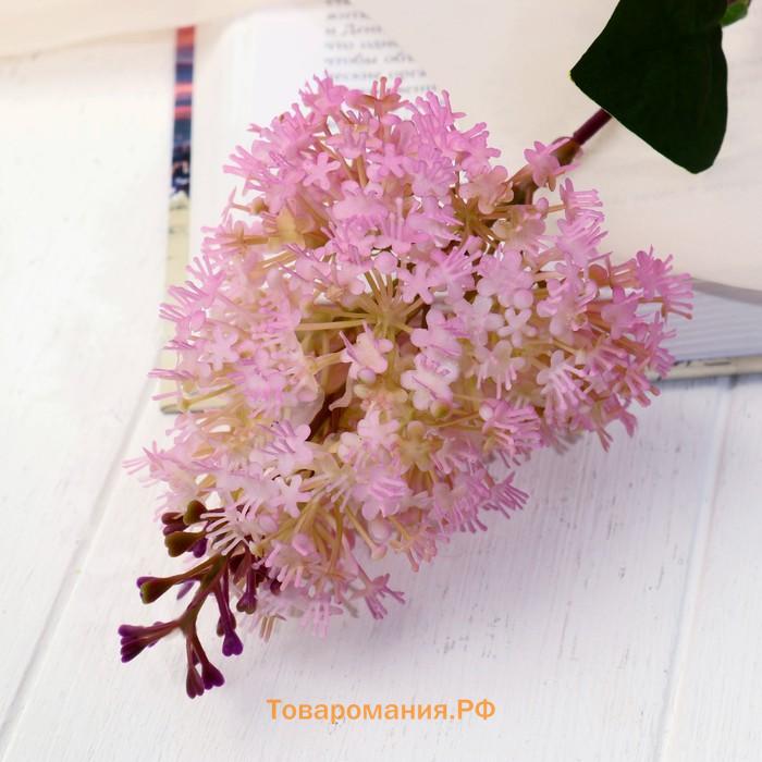 Цветы искусственные «Веточка сирени», 68×7 см, розовые