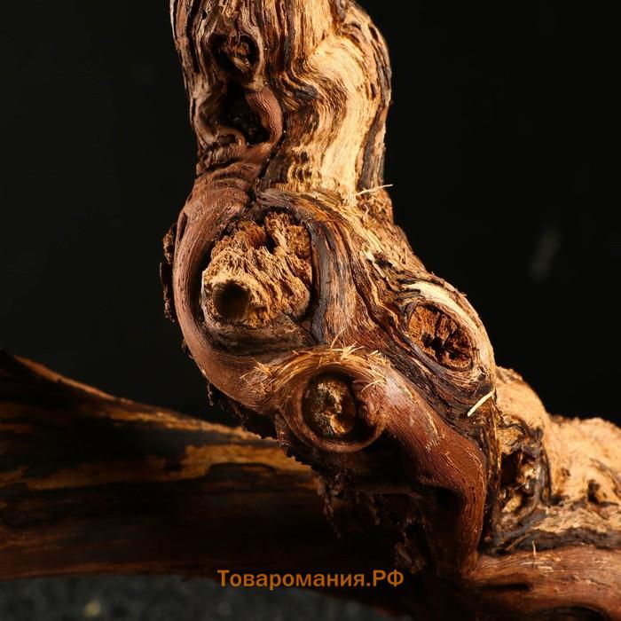 Коряга для аквариума "Лоза виноградная", 50 - 60 см