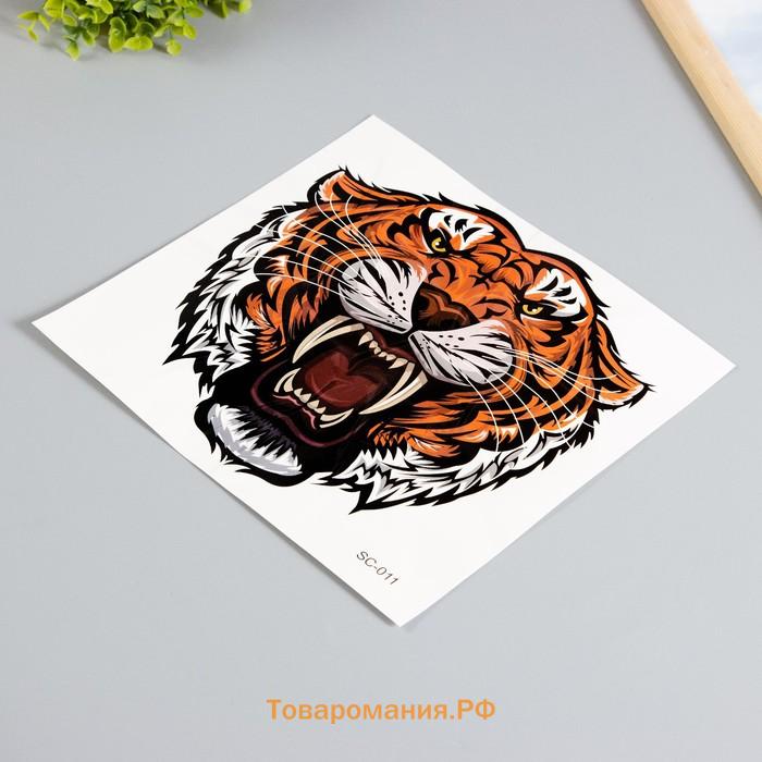 Переводная тату на тело цветная «Тигр с клыками», 38×24 см