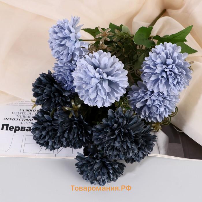 Букет «Хризантема Сьюзен», 7×28 см, МИКС