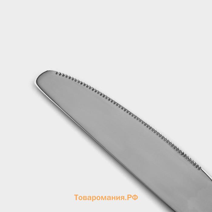 Набор ножей столовых из нержавеющей стали Magistro «Олин», длина 22.7 см, 6 шт., серебристый