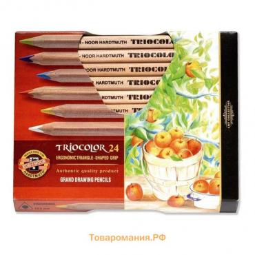 Карандаши утолщённые Triocolor, 24 цвета, трёхгранные