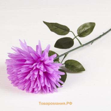 Цветы искусственные «Астра сфера», 12×60 см, розовые