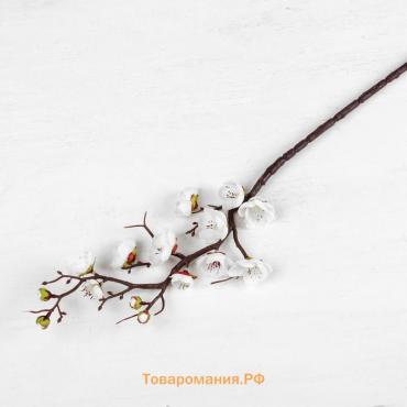Цветы искусственные «Ветка сакуры», 3×60 см, белые