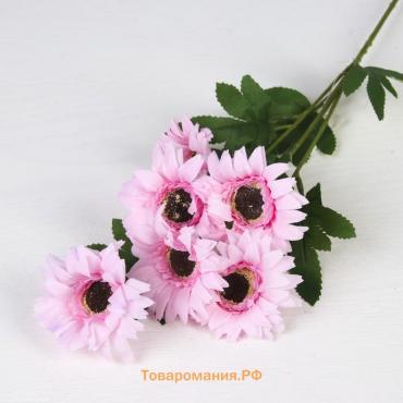Цветы искусственные «Гербера садовая», 6×50 см, розовые