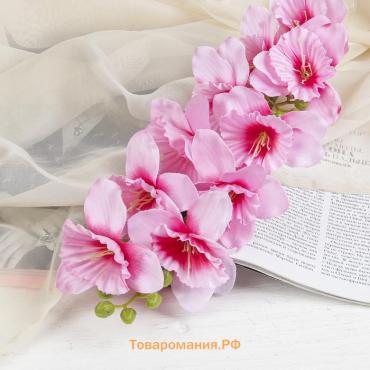 Цветы искусственные «Дельфиниум волнистый», 7.5×82 см, розовые