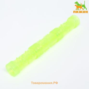 Игрушка тренировочная жевательная "Палка" полая, 24,5 см, жёлтая