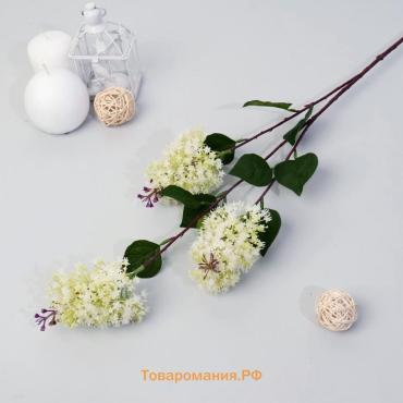 Цветы искусственные «Веточка сирени», 68×7 см, белые