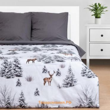 Постельное бельё  2 сп Snow forest 175х215 см, 200х220 см, 70х70 см - 2 шт, поплин