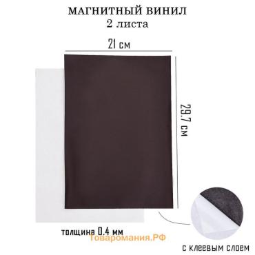 Магнитный винил, с клеевым слоем, TAKE IT EASY, набор 2 шт., А4, толщина 0.4 мм, 21×29.7 см