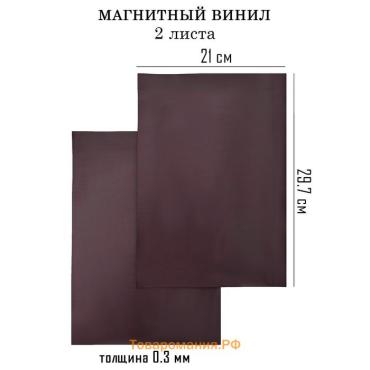 Магнитный винил, с ПВХ поверхностью, TAKE IT EASY, А4, набор 2 шт., толщина 0.3 мм, 21×29.7 см, чёрный