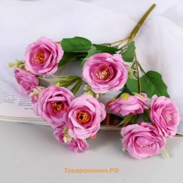 Букет «Роза Вивьен», 5×29 см, МИКС